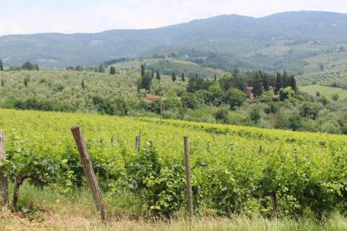 Farm stays in Bagno a Ripoli 