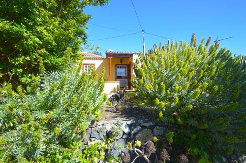 Emiliana - image 12