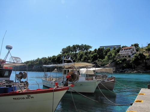 Gorgona Hotel - image 10