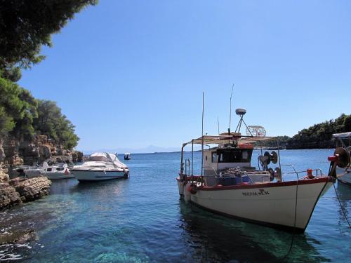 Gorgona Hotel - image 7
