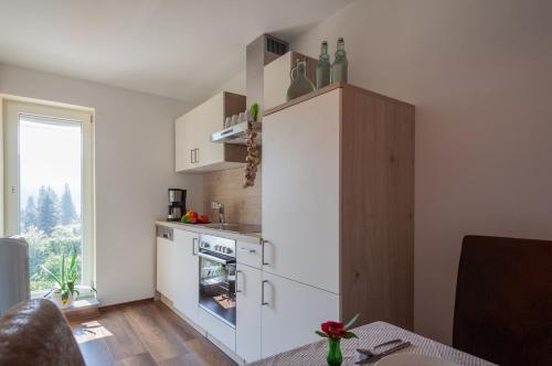 Kilátás, Ferienwohnungen Ludwigsthal in Lindberg