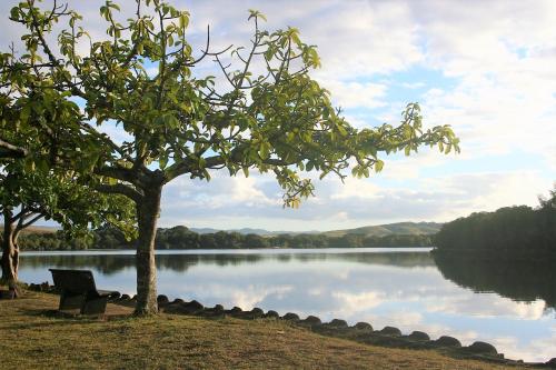 102 Siyayi in 伍尊哲里