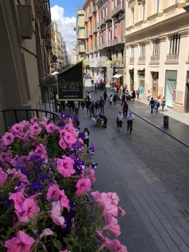 Caruso Place Boutique & Wellness Suites - main image