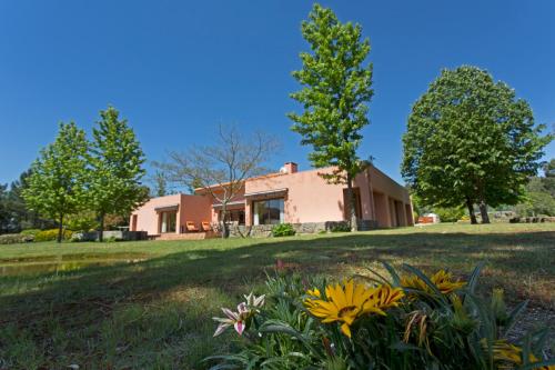 Raizes e Particulas gîte à louer Subal