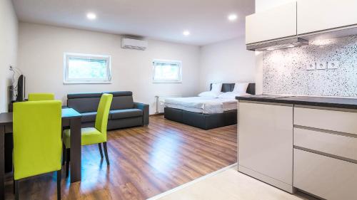 Studio Apartment