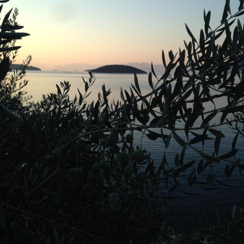  Villa Dalma, Unterkunft in Blaževo