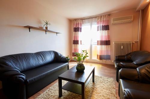 Egyetemváros - A. apartman