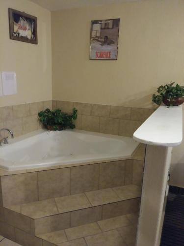 Garden Inn & Suites New Braunfels in New Braunfels, USA