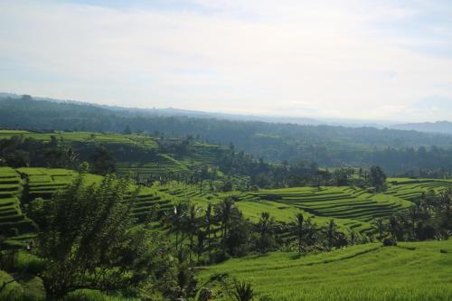 Sang Giri - Mountain Glamping Camp