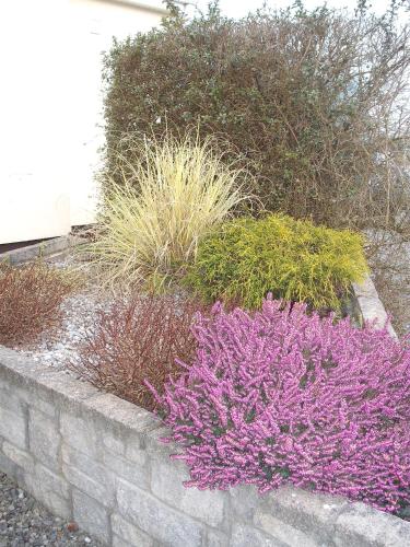 Maryville Bed and Breakfast - image 11