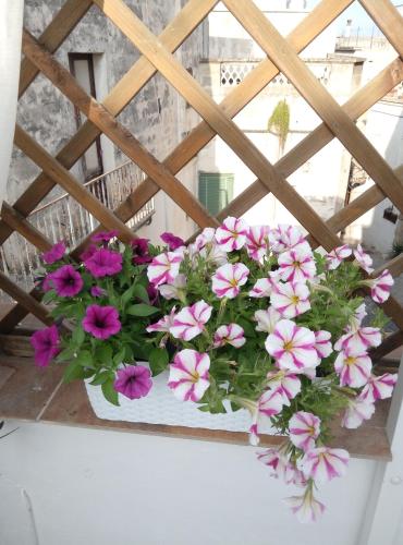 Casa Destradis B&B - image 6