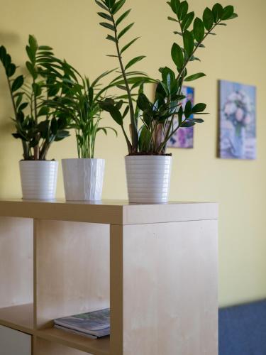 BVV Apartment