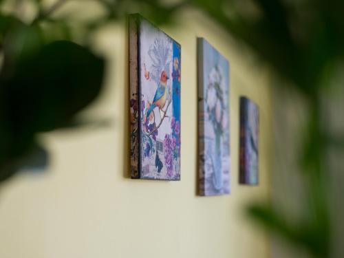 BVV Apartment