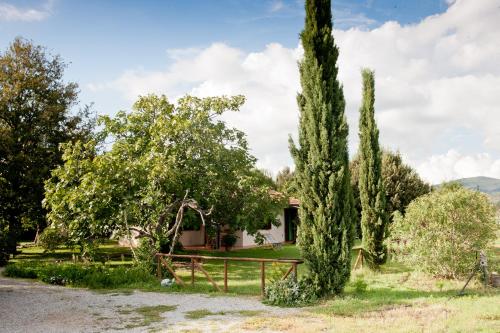 Agriturismo Sicomoro