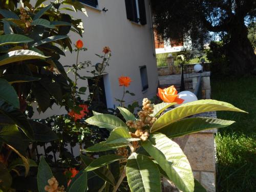 Villa Dimitra