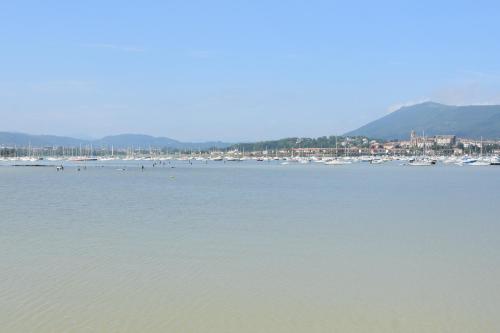 Bidassoan photo 16