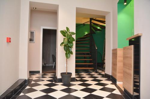 Vila Nova - image 3