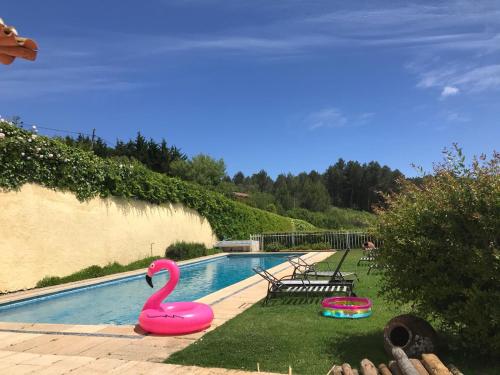 Flores Guest House - image 4