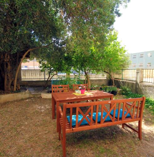  Lemon tree in Makarska