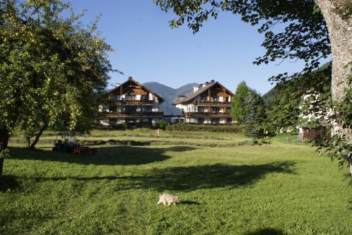 appartementen Haus Bergblick - Apartment - Gosau