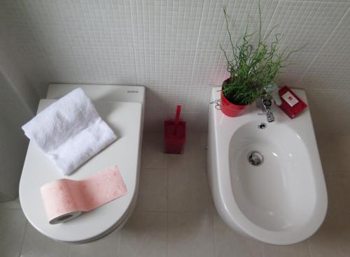APT Re di Roma - image 12