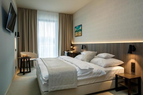Hotel Rajka - image 6