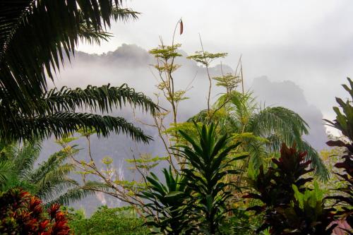 Khao Sok Palmview Resort