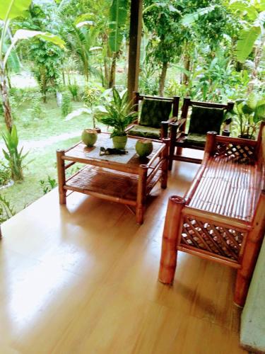 Surrounding environment, House Rental Banaba Tree in Samboan