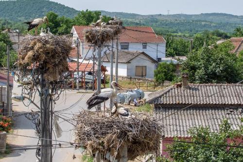 Accommodation in Bogdanci