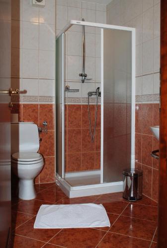 Hotel Zvezda - image 4