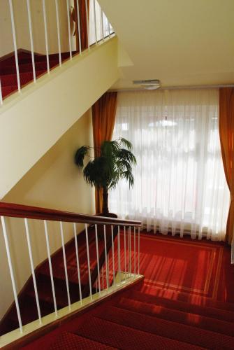 Hotel Zvezda - image 7
