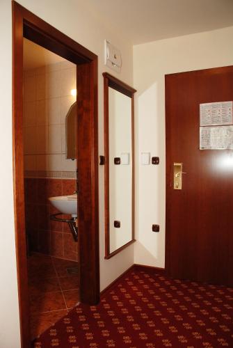 Hotel Zvezda - image 14