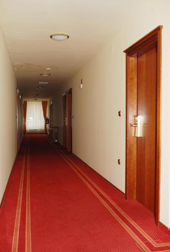 Hotel Zvezda - image 9