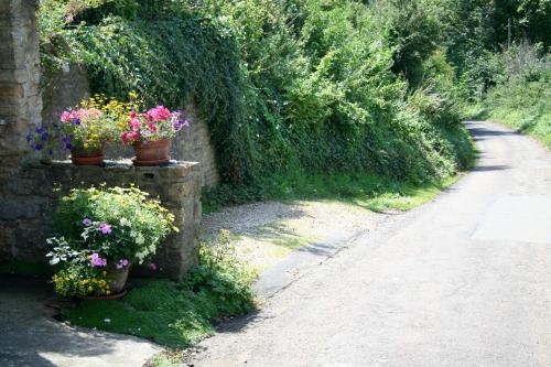 The Cottage Abbotsbury