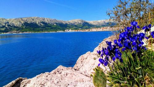 Accommodation in Baška