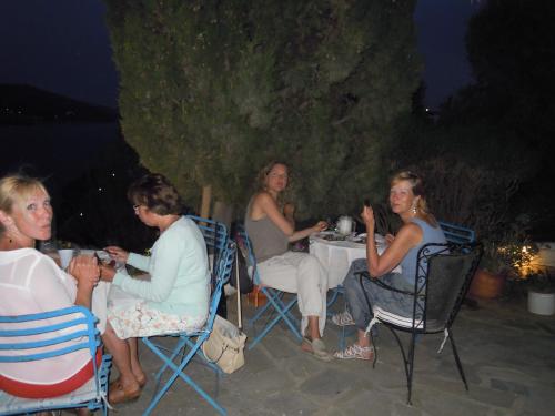 Blue Dolphin - image 6