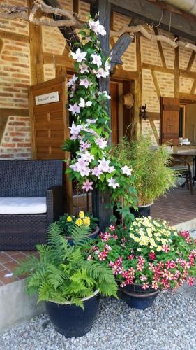 Le Venay photo 16