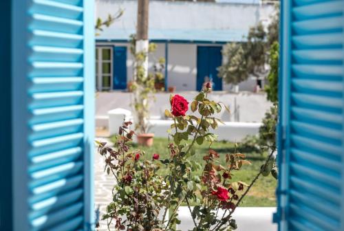 Keti Kapri – Naxos City, UT