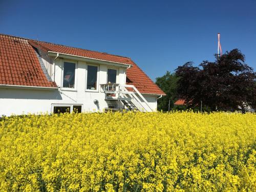 Hotels Image
