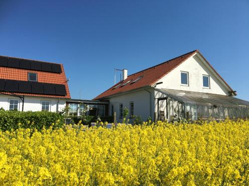 Hotels Image