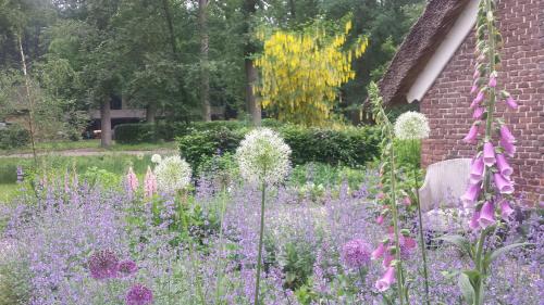 Landgoedhoeve Vosbergen - image 14