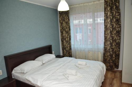 Cozy Apartments - Iasi - image 7