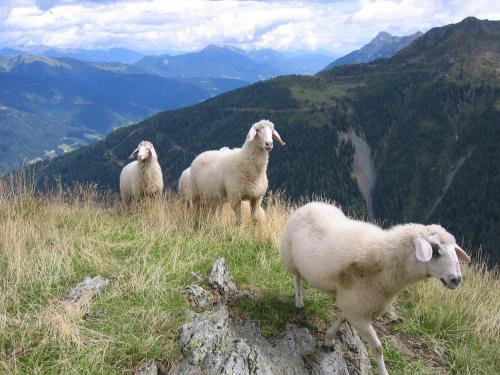 Pension Wilhelmer in Sankt Lorenzen im Lesachtal, Österreich