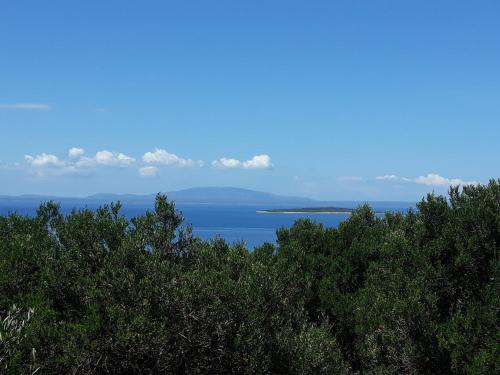  Apartment Ivo & Lily in Lun