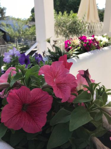 Angeliki Studio & Apartment
