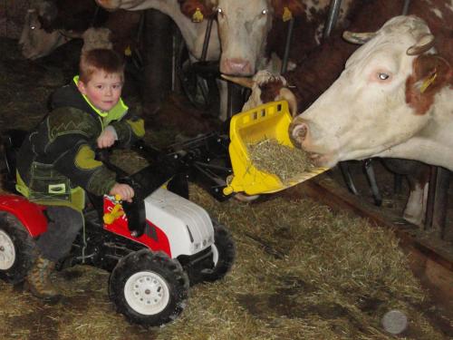 Baby- und Kinderhof Aicherbauer - image 4