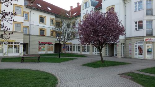 Erdélyi vendégház in Sárospatak