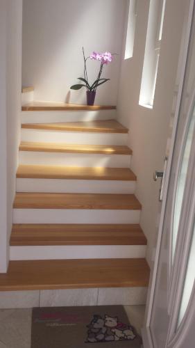 Apartment Ika - image 2