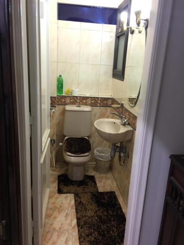 Private Family Apartment in Dokki