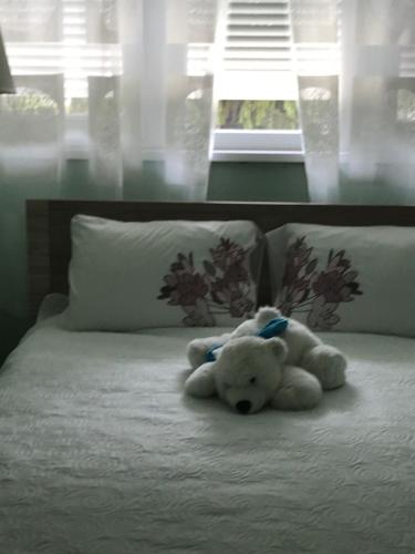  Mary apartman in Szeged
